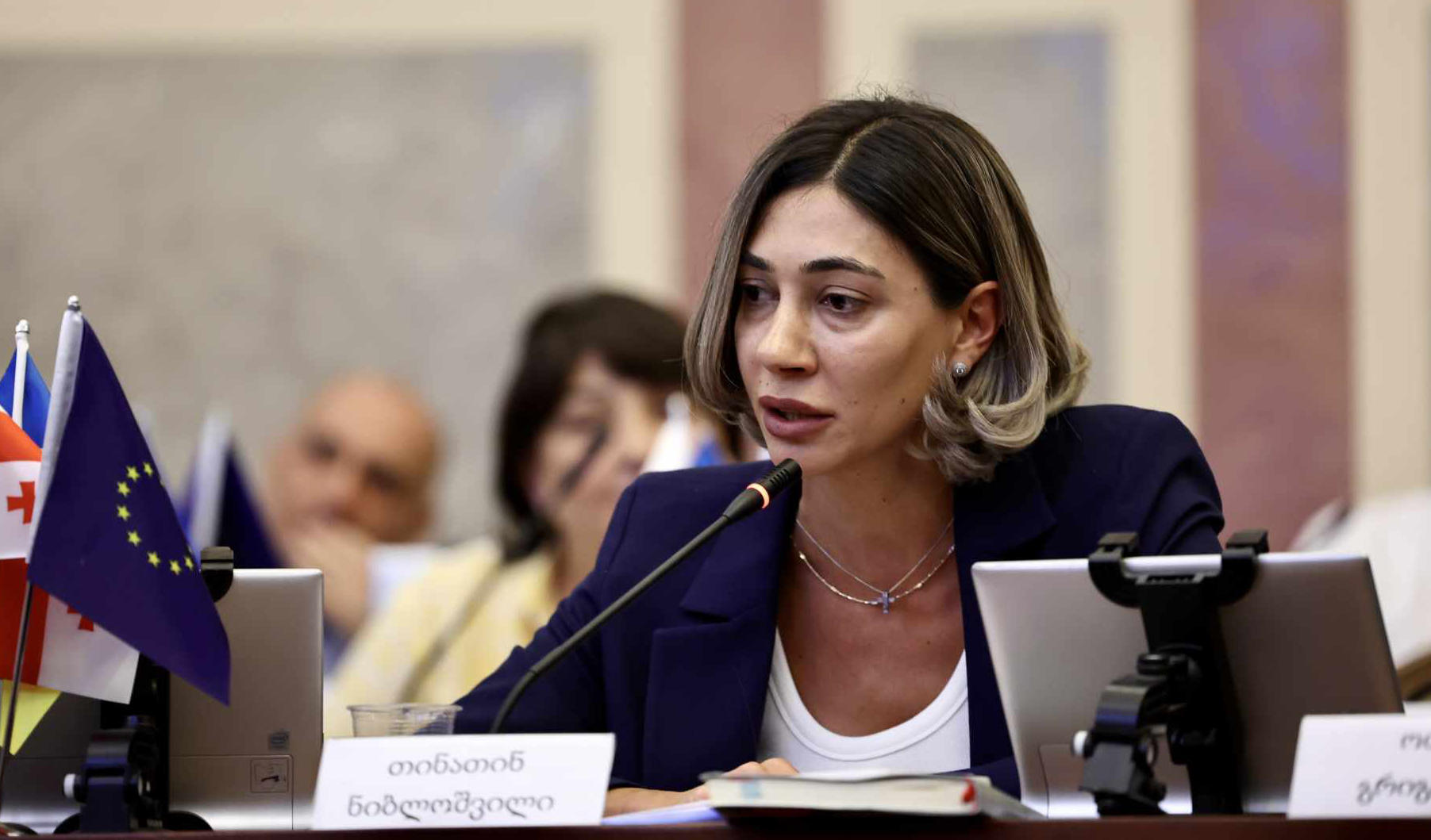 თინათინ ნიბლოშვილი - იმისათვის, რათა ქალაქი ქაოსურად არ განვითარდეს, მას შეთანხმებული განაშენიანების რეგულირების გეგმები სჭირდება