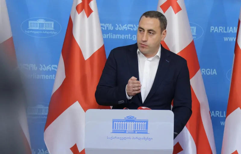 გიორგი ვაშაძე - პრეზიდენტს, რაც ამ პროცესში შეუძლია გააკეთოს, სააკაშვილის შეწყალებაა - 100%-ით დაზუსტებული ინფორმაცია მაქვს, მას სააკაშვილის შეწყალების საკითხი მათ შორის საფრანგეთის პრეზიდენტთან შეხვედრაზე დაუსვეს