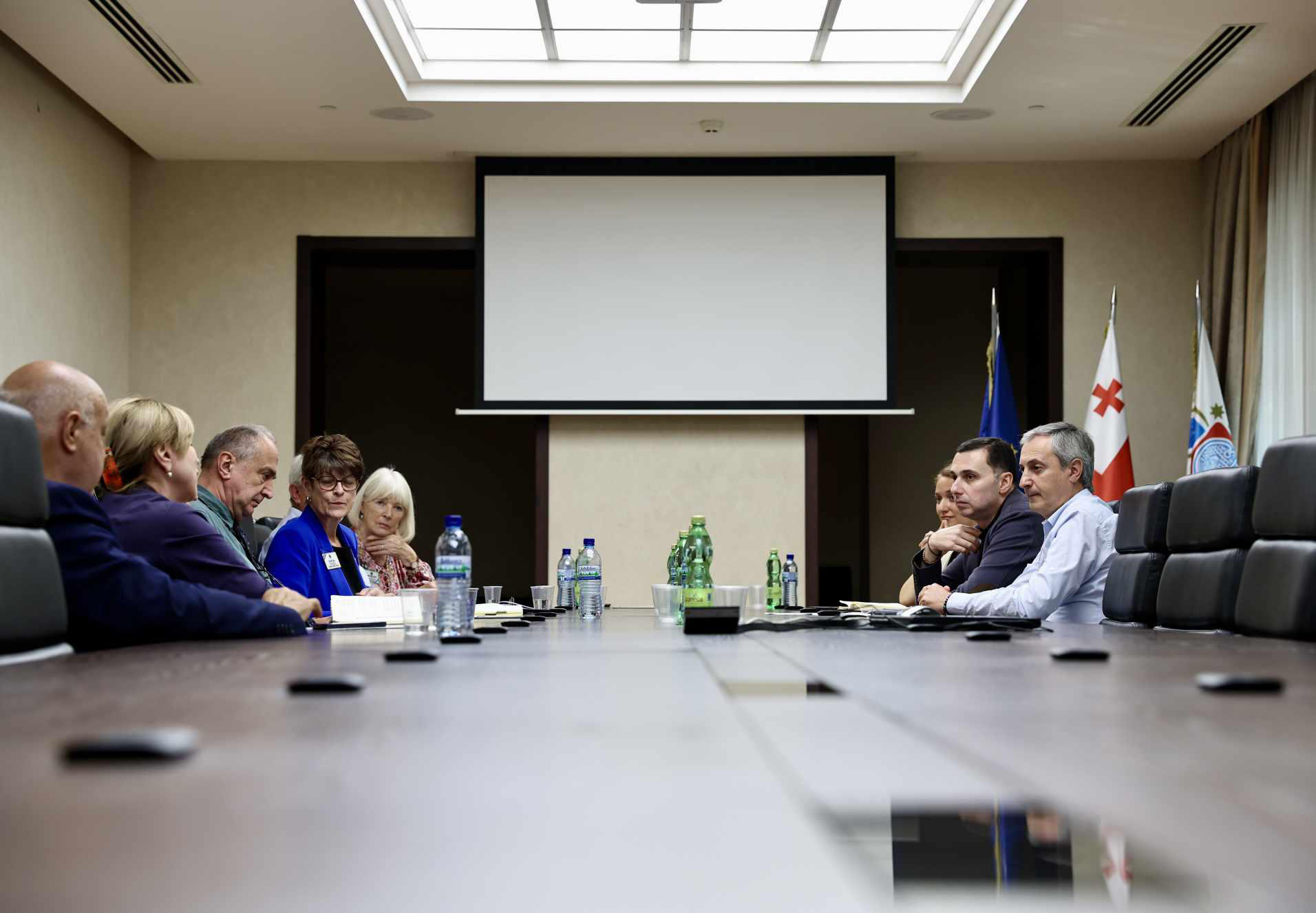 დედაქალაქის საკრებულოში საერთაშორისო ორგანიზაცია Lions International-ის წარმომადგენლებთან შეხვედრა გაიმართა