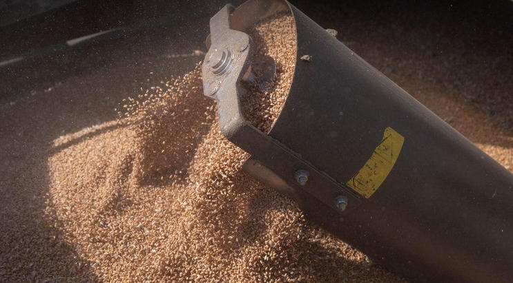 ევროკომისიამ 5 ქვეყანაში უკრაინული მარცვლეულის იმპორტზე აკრძალვა არ გაახანგრძლივა, მაგრამ უკრაინისგან გარკვეული ზომების დაცვას ითხოვს