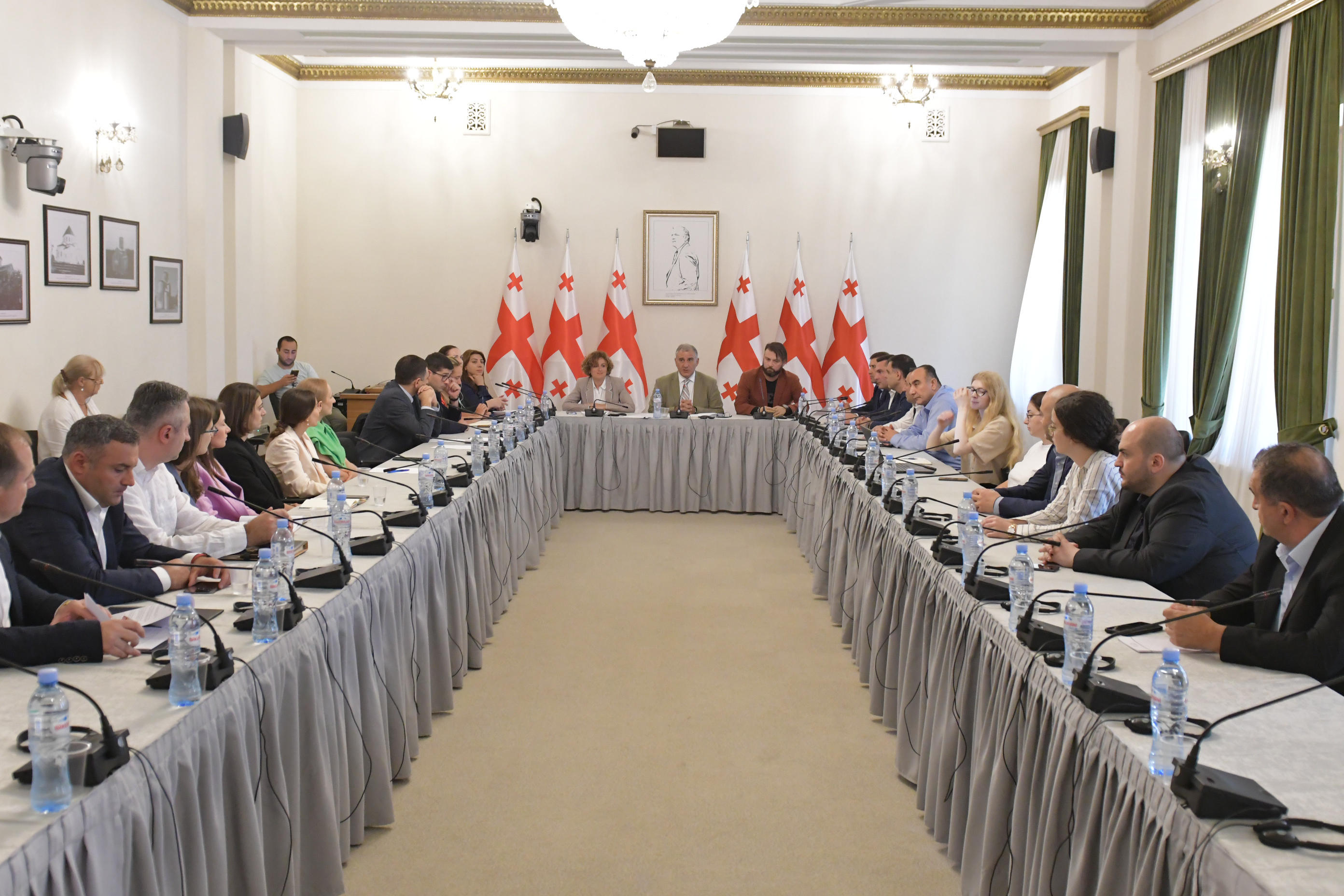 ადამიანის უფლებათა დაცვისა და სამოქალაქო ინტეგრაციის კომიტეტის სამუშაო შეხვედრაზე სისხლის სამართლის საპროცესო კანონმდებლობაში შესატან ცვლილებებზე იმსჯელეს