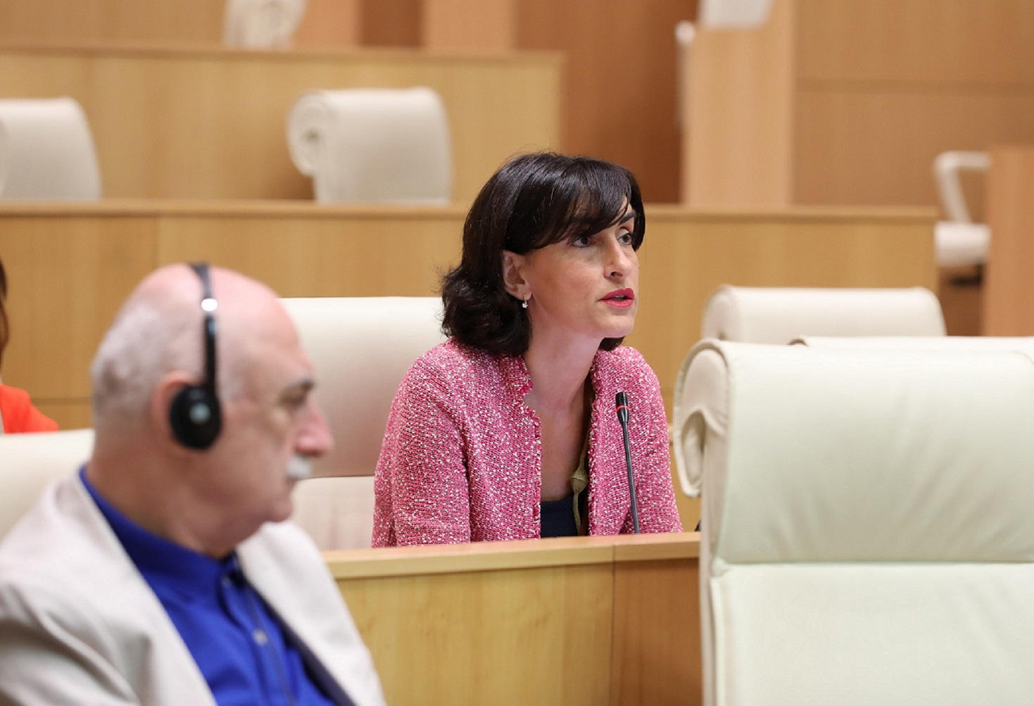 მაკა ბოჭორიშვილი - იმედი მაქვს, რომ ევროკავშირი საქართველოს გეოპოლიტიკურ მნიშვნელობას და საჭიროებებს სწორად შეაფასებს და აღარ დატოვებს სივრცეს სპეკულაციებისთვის