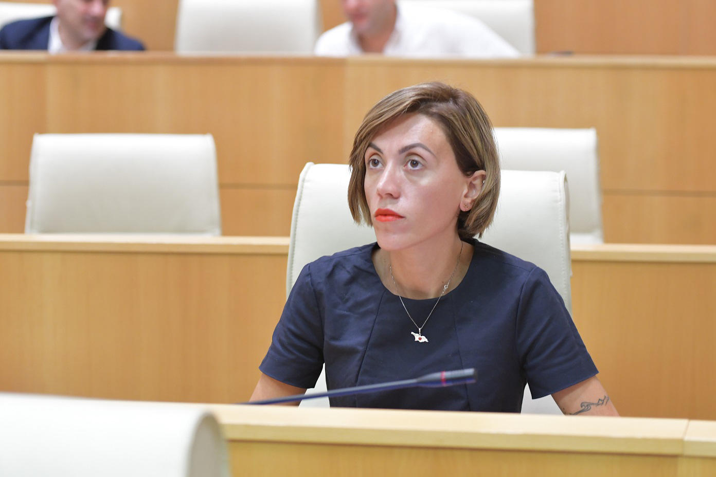 ანა წითლიძე - ჩემი პარტია, როგორც ყველაზე დიდი პროდასავლური პარტია, არის მთავარი ლობისტი, მათ შორის ჩვენს საერთაშორისო პარტნიორებთან, რომ ამ ქვეყანამ კანდიდატის სტატუსი მიიღოს