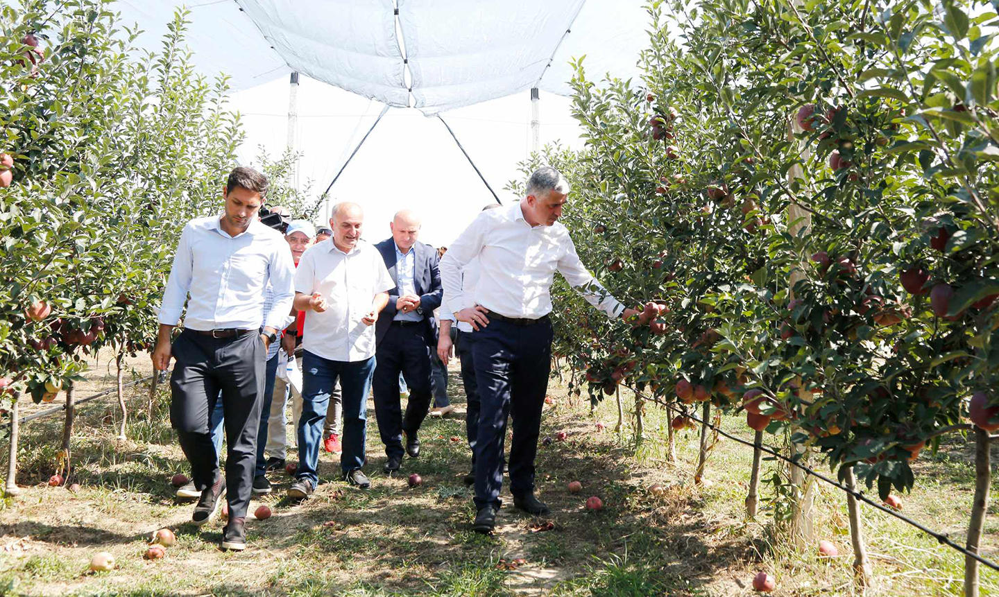 ოთარ შამუგია გორში ადგილობრივ ფერმერებს შეხვდა