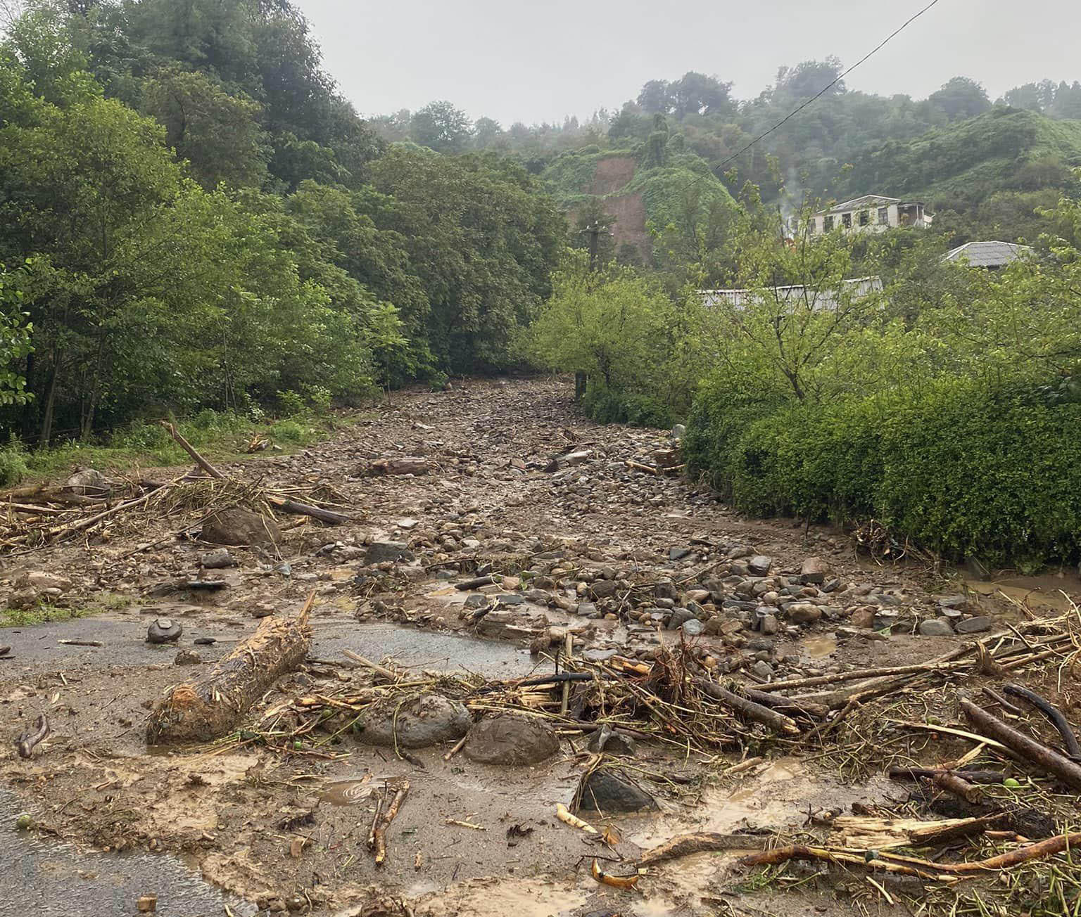 მერაბ გამყრელიძე - ლანჩხუთის მუნიციპალიტეტში წყლის მიწოდება სრულად აღდგენილია, ხოლო ელექტროენერგია არ მიეწოდება 4 სოფელს, გაზის მიმართულებით 1500 აბონენტია გათიშული
