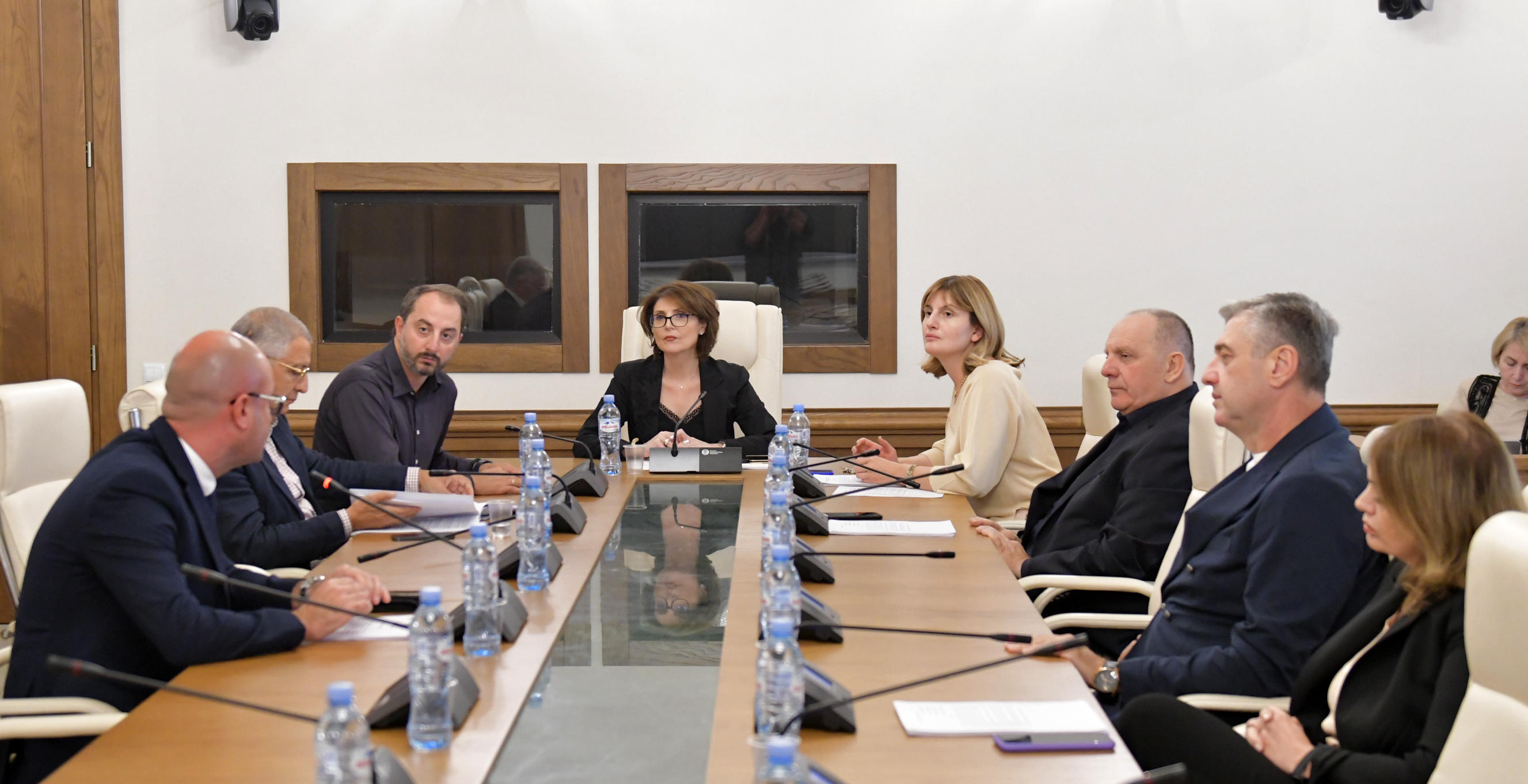 კულტურის კომიტეტი თემატურ მოკვლევას იწყებს