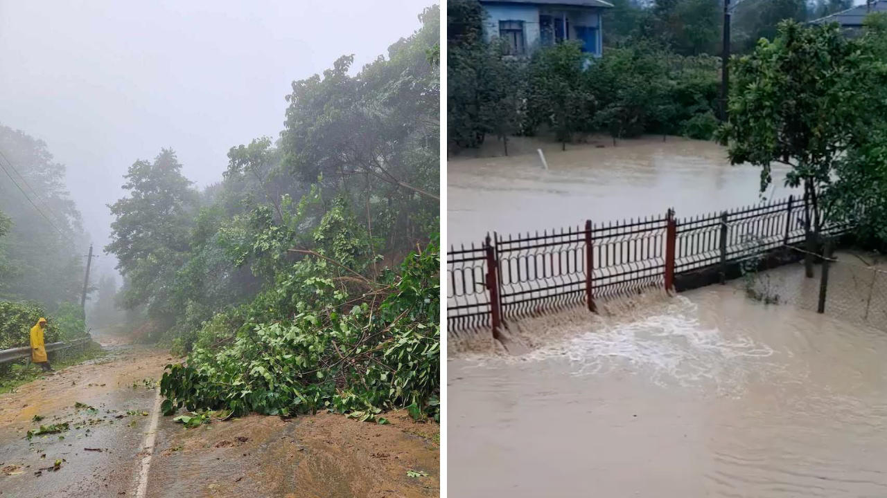 „გალფი“ გურიის რეგიონში სტიქიით მიყენებული ზიანის აღდგენაში ჩაერთო