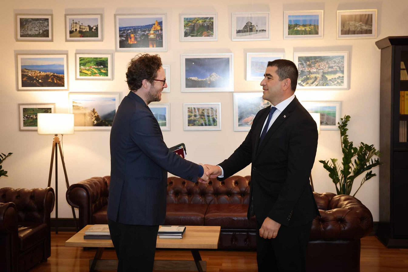 პარლამენტის თავმჯდომარე გერმანიის ჰაინრიხ ბიოლის ფონდის პრეზიდენტს შეხვდა
