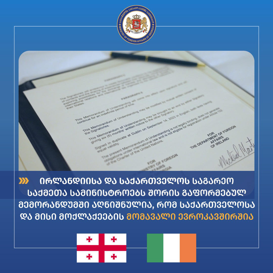 საქართველოს საგარეო საქმეთა მინისტრი ირლანდიელ კოლეგას შეხვდა