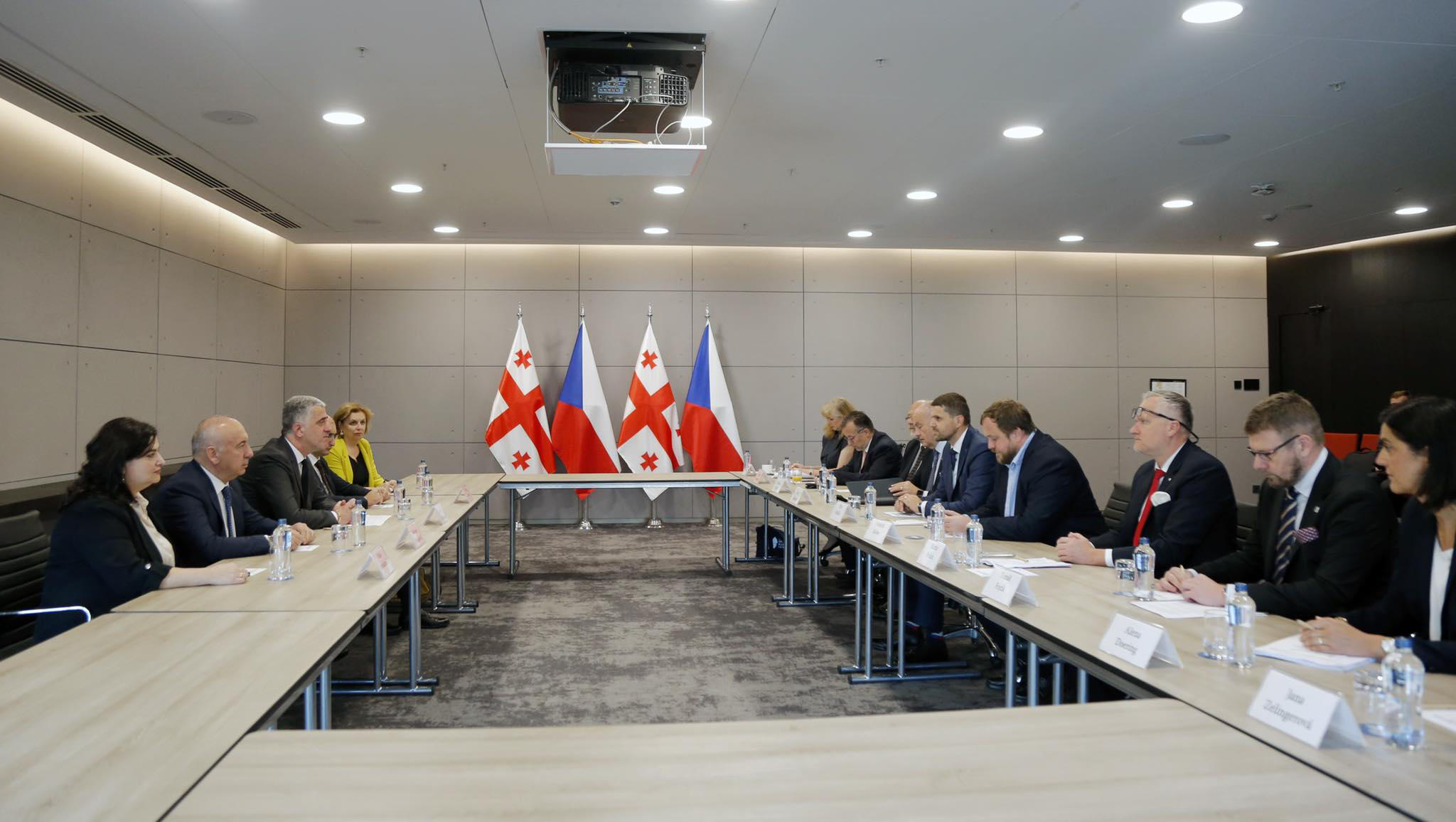 ოთარ შამუგია ჩეხ კოლეგას შეხვდა