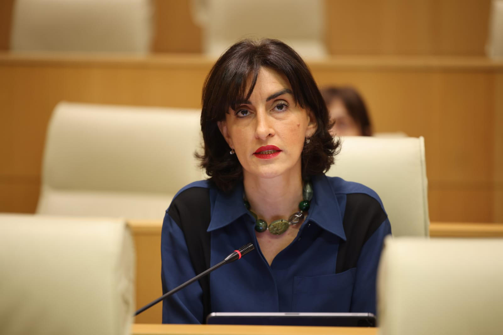 მაკა ბოჭორიშვილი - ევროკომისიის ვიცე-პრეზიდენტის ვიზიტი საქართველოში იყო მხარდაჭერის გზავნილი და არა „თითის ქნევა”, როგორც ეს ოპოზიციას სურდა რომ დაენახა