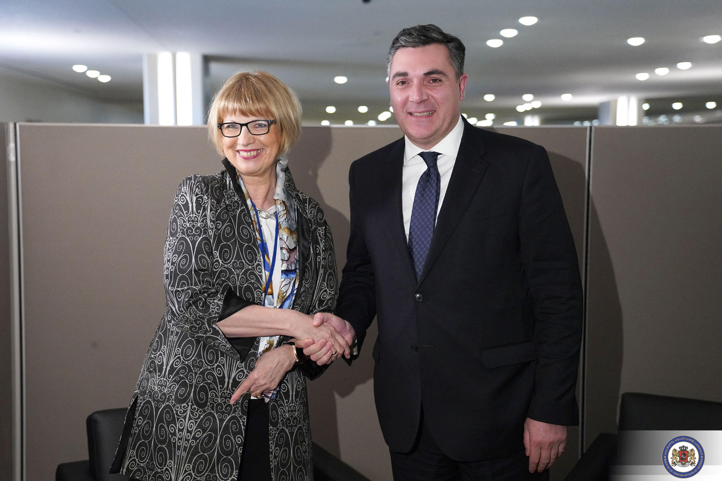 ილია დარჩიაშვილი ეუთო-ს გენერალურ მდივანს შეხვდა