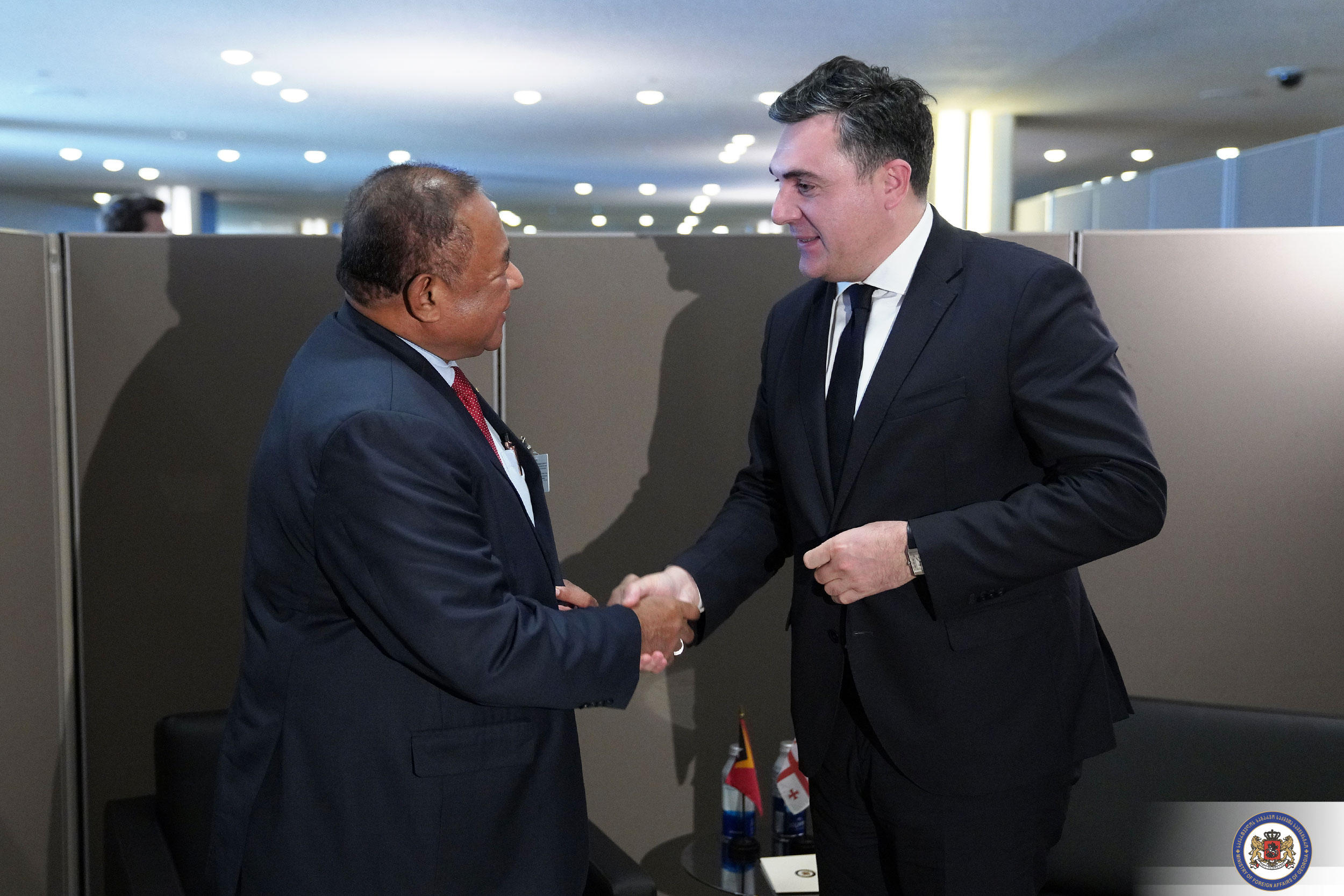 ილია დარჩიაშვილი კოლეგა მინისტრებთან შეხვედრებს განაგრძობს