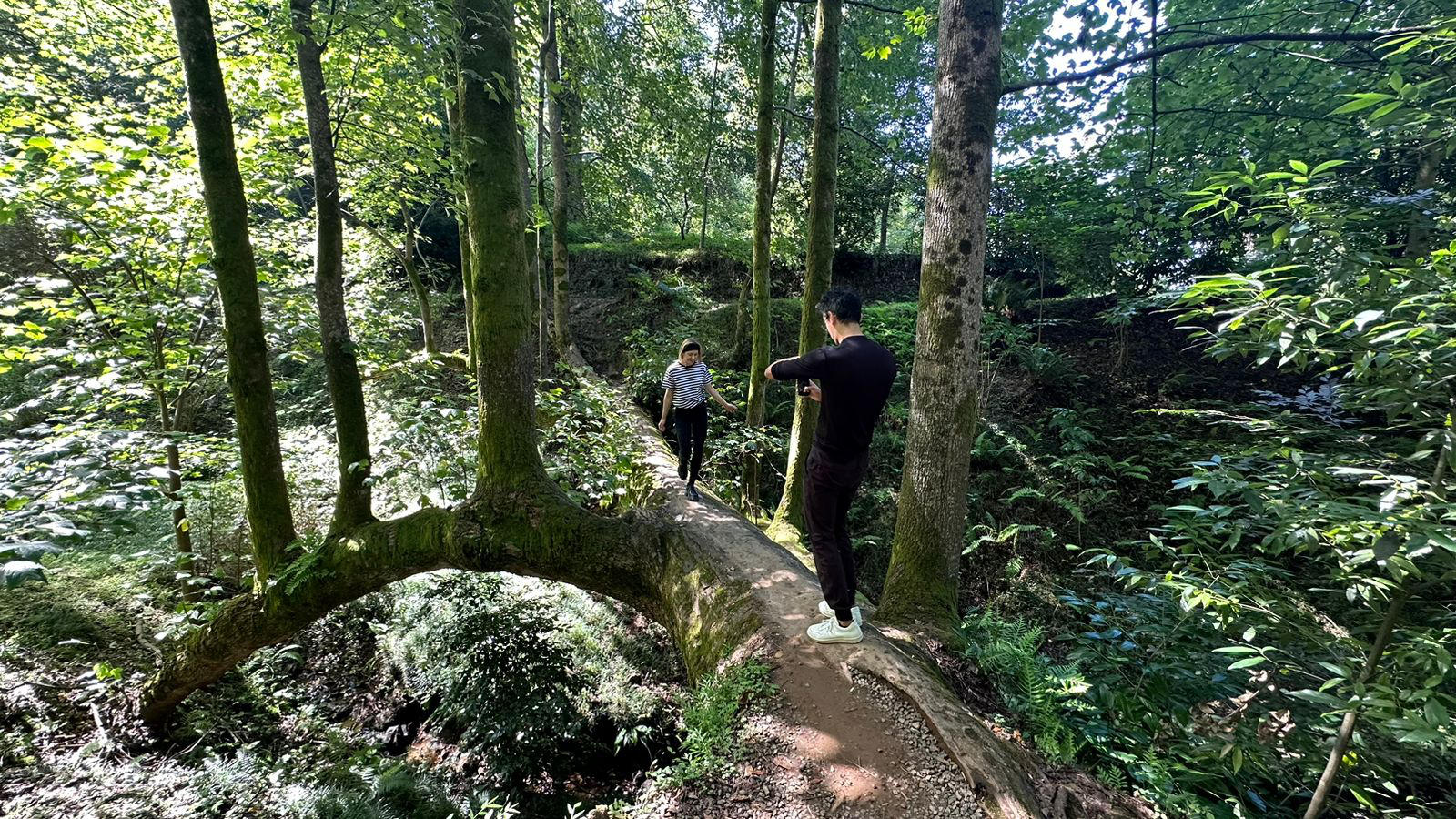 Instagram-ისა და YouTube-ის პოპულარული ვლოგერი საქართველოს ტურისტული პოტენციალის შესახებ ვიდეორგოლებს ამზადებს