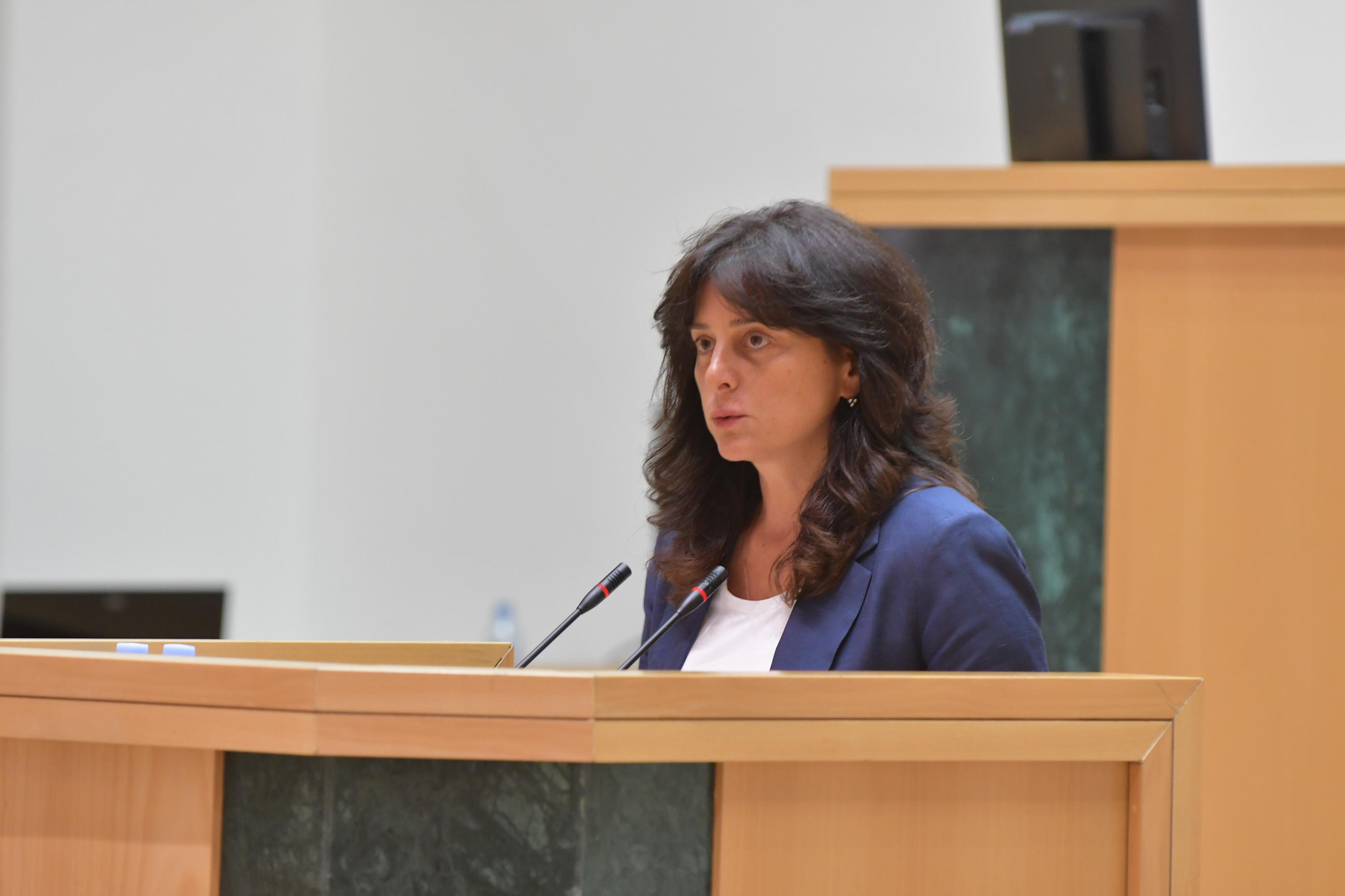 მაია ბითაძე ოპოზიციას - უბრალოდ, წარმოდგენა არ გაქვთ, რაზე ლაპარაკობთ