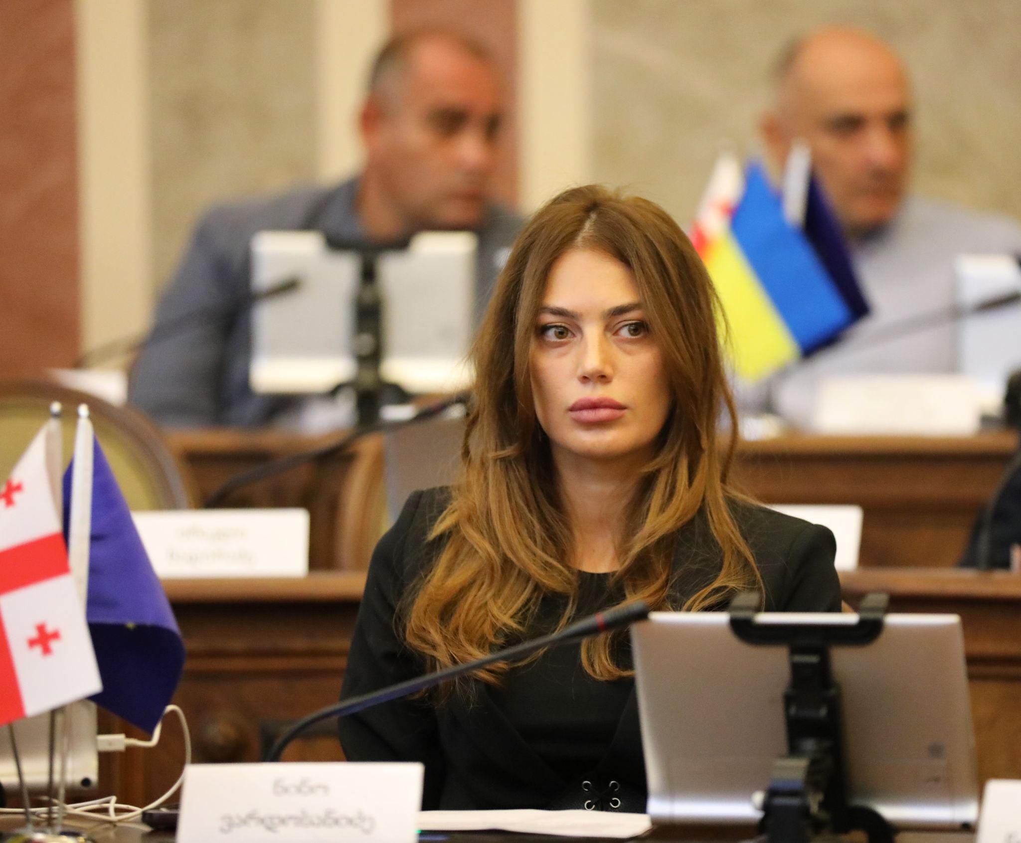 ნინო ვარდოსანიძე - არ შეიძლება აგრესია და ურთიერთუპატივცემულობა პოლიტიკის სახელით გამართლდეს