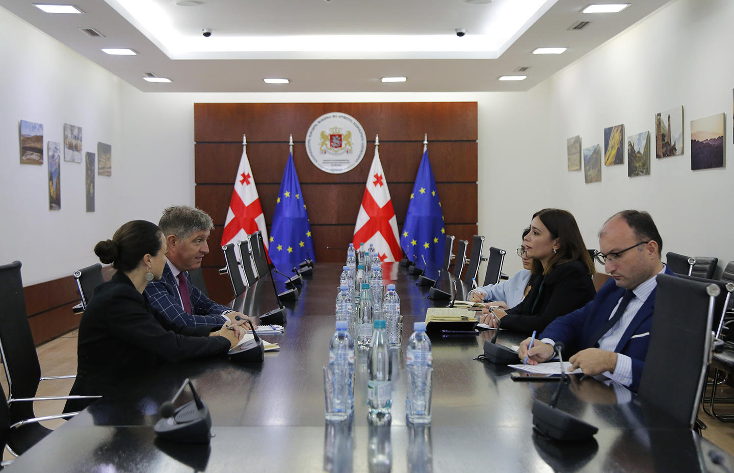 ნინო თანდილაშვილი ევროკავშირის წარმომადგენლობის თანამშრომლობის განყოფილების ხელმძღვანელს შეხვდა