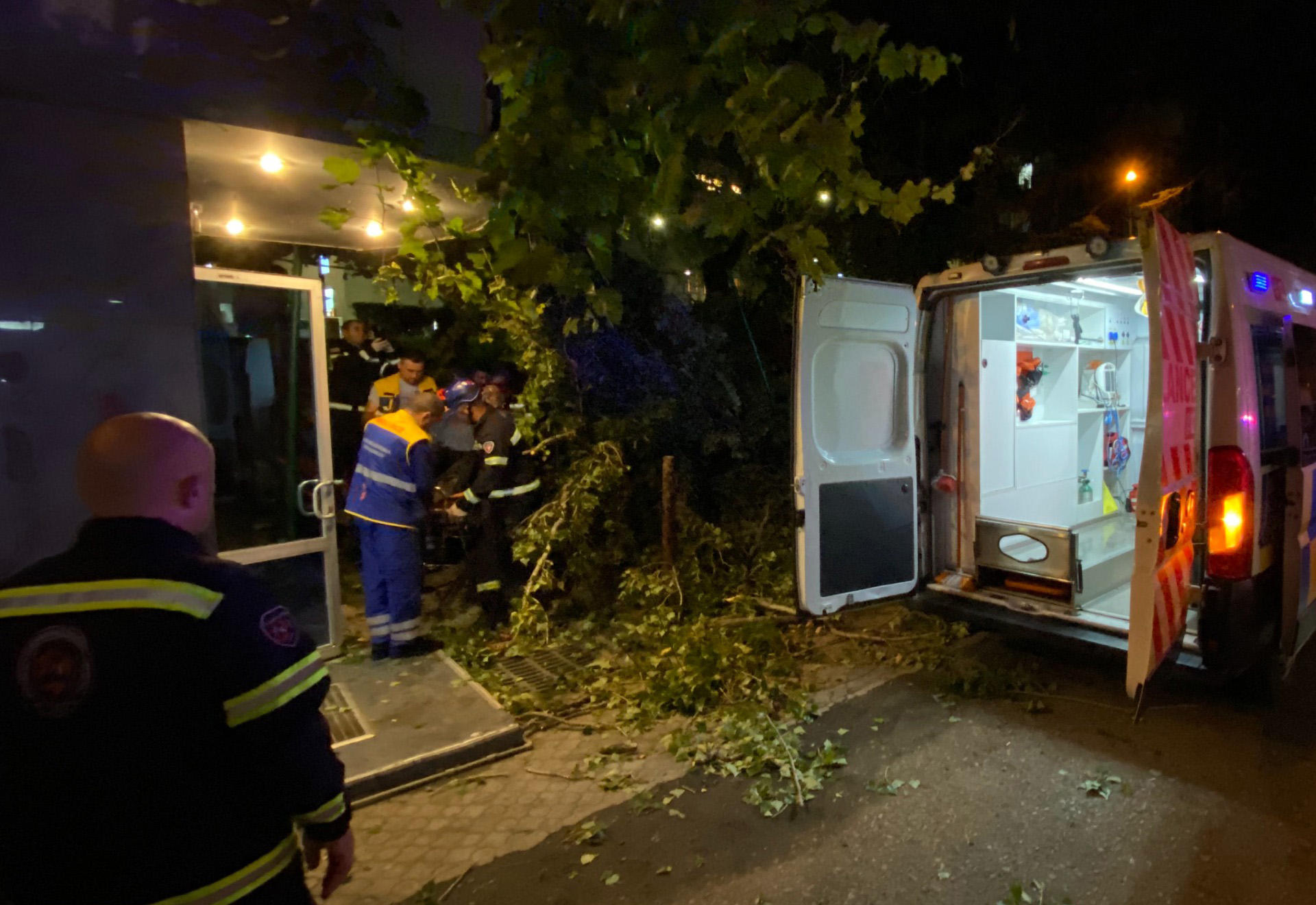 ფილარმონიის მიმდებარედ ხე წაიქცა და ადამიანს დაეცა