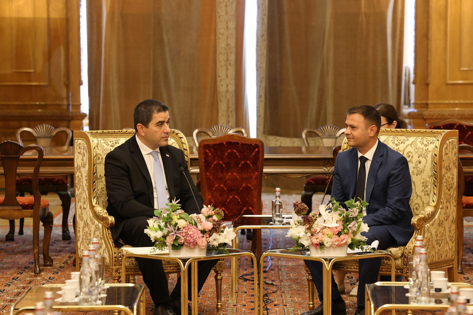 შალვა პაპუაშვილი რუმინეთის დეპუტატთა პალატის ვიცე-პრეზიდენტს შეხვდა
