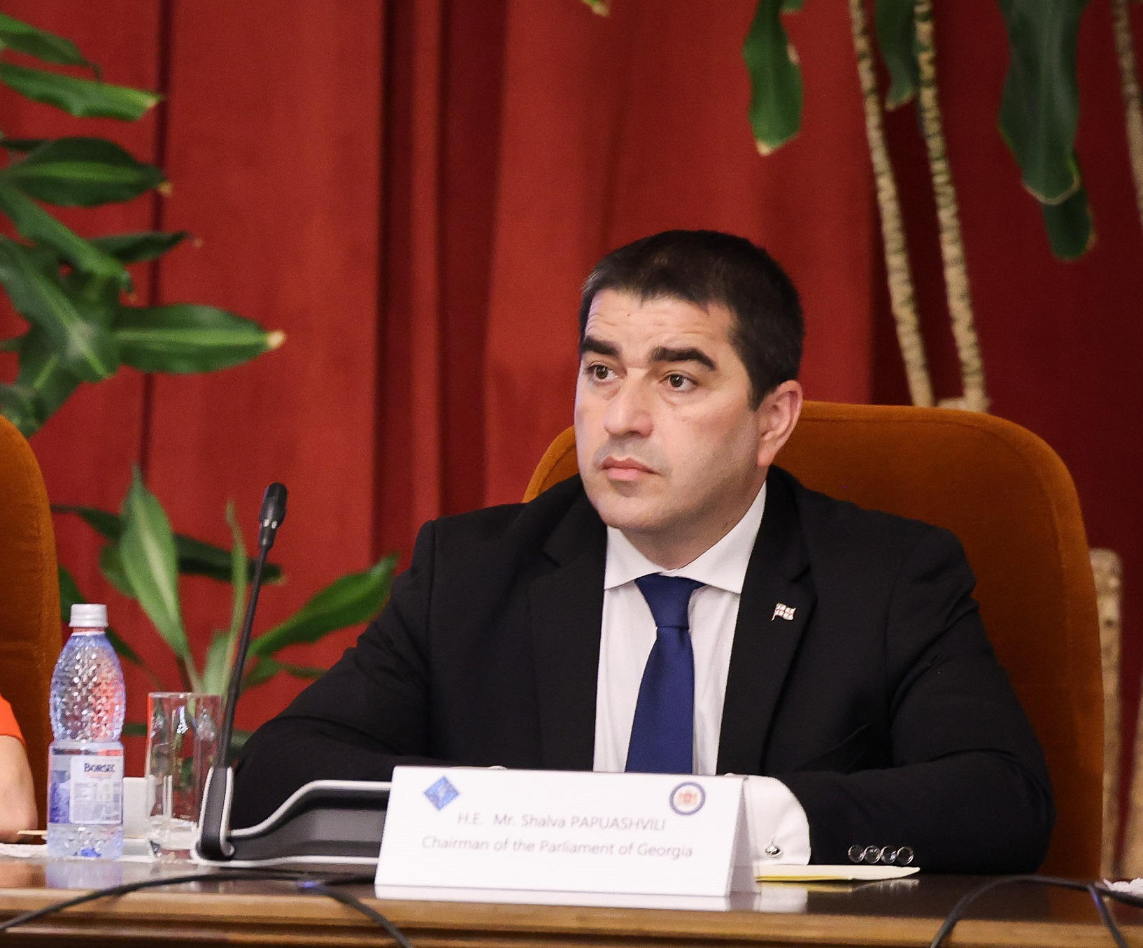 საქართველოს პარლამენტის თავმჯდომარე შალვა პაპუაშვილი სამუშაო ვიზიტით ირლანდიაში იმყოფება