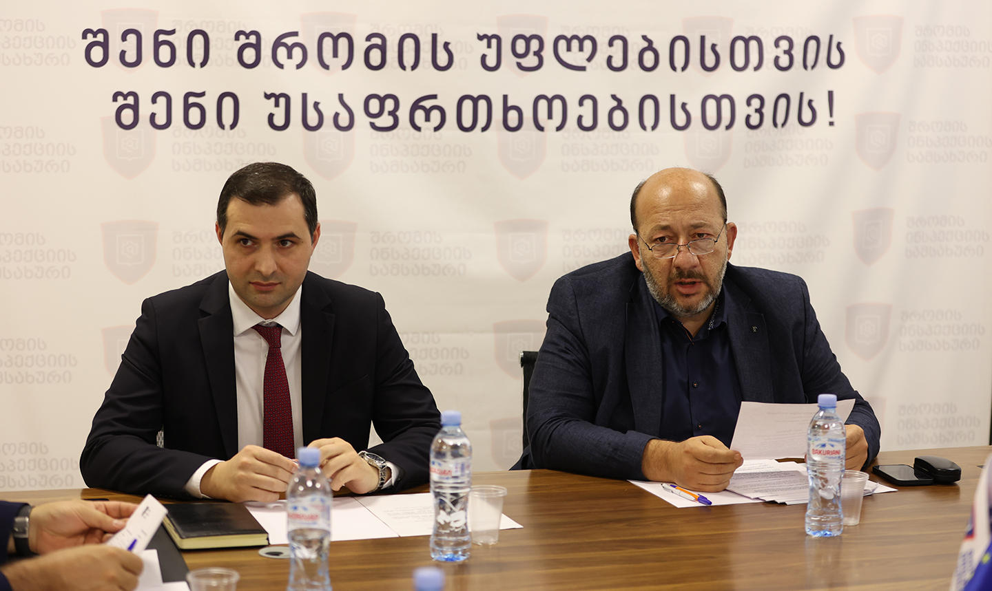 ირაკლი პეტრიაშვილი შრომის ინსპექტორთან არსებული მრჩეველთა საბჭოს თავმჯდომარედ აირჩიეს