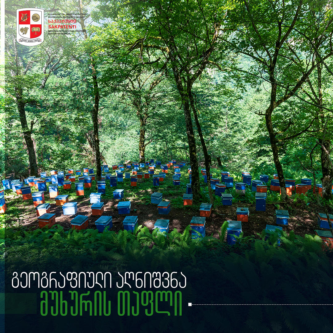 გეოგრაფიული აღნიშვნა „მუხურის თაფლი“ „საქპატენტში“ არის რეგისტრირებული