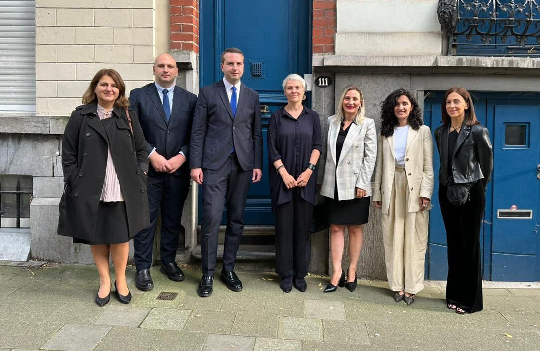 სპეციალური საგამოძიებო სამსახურის უფროსი, ბრიუსელში „წამების წინააღმდეგ ბრძოლის მსოფლიო ორგანიზაციის“  წარმომადგენლებს შეხვდა