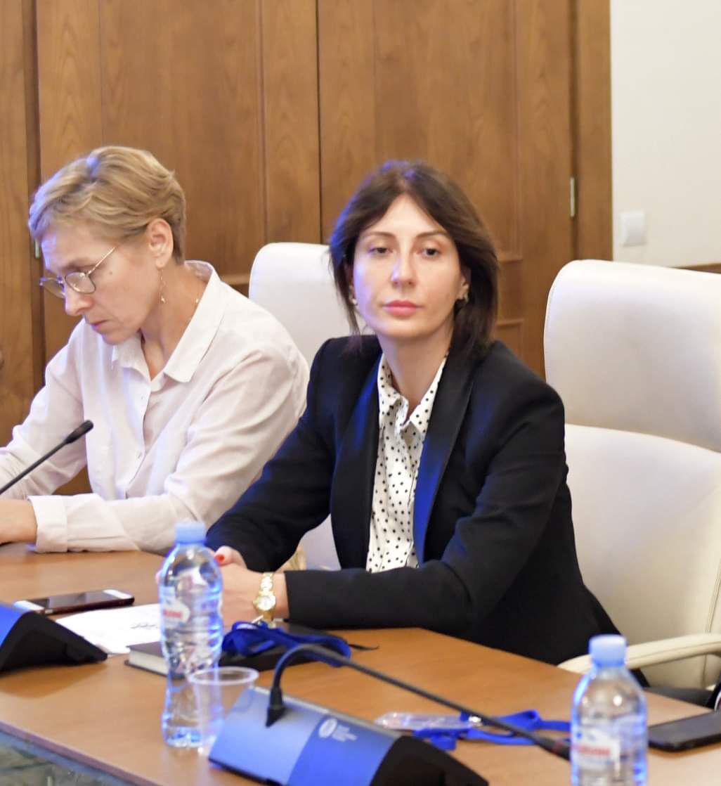 პარლამენტის განათლებისა და მეცნიერების კომიტეტის სხდომაზე ორი უწყების ანგარიში მოისმინეს