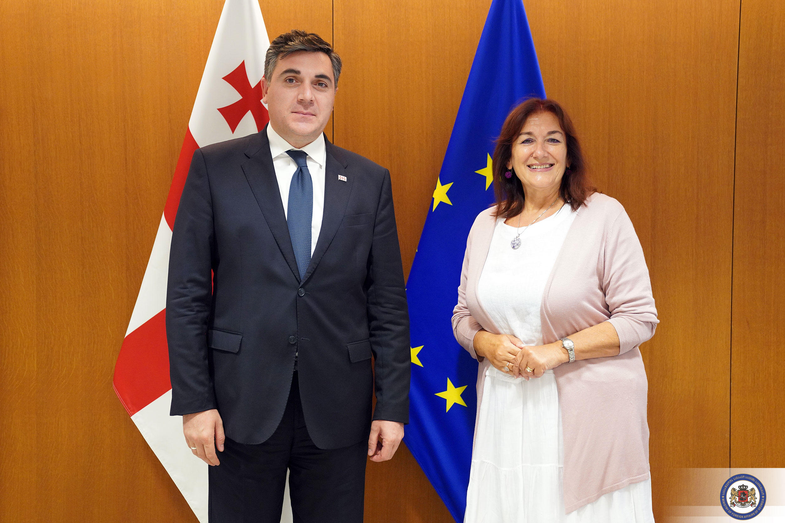 ილია დარჩიაშვილი ევროკომისიის ვიცე-პრეზიდენტს, დუბრავკა შუიცას შეხვდა