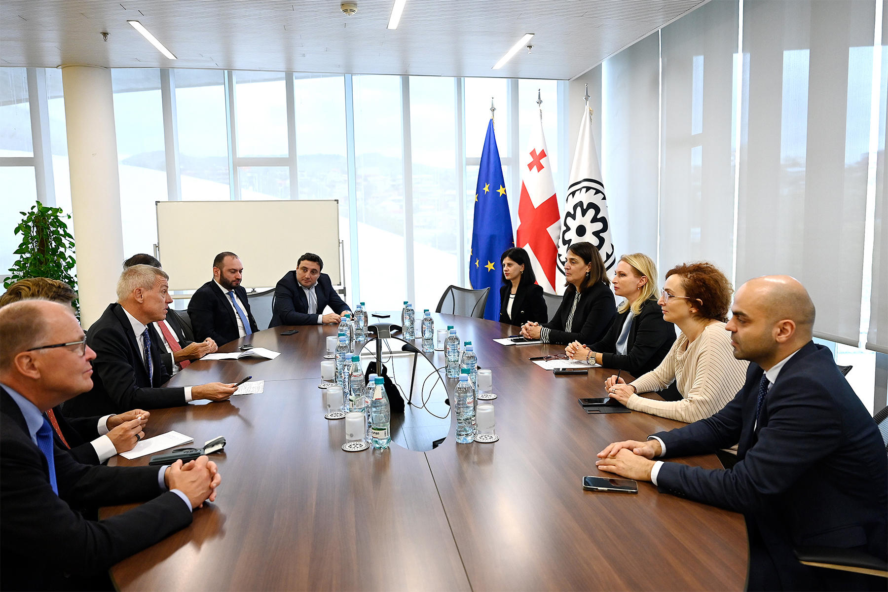 ნათია თურნავა საპენსიო სააგენტოს საინვესტიციო საბჭოს წევრებს შეხვდა