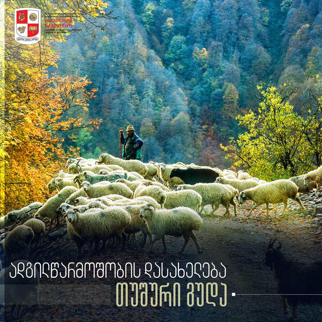 გეოგრაფიული აღნიშვნა „თუშური გუდა“ „საქპატენტში“ არის რეგისტრირებული