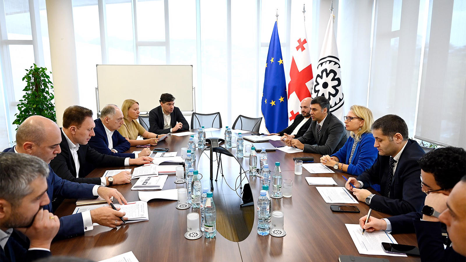 ნათია თურნავა კომერციული ბანკებისა და ბიზნეს ასოციაციის წარმომადგენლებთან შეხვედრებს განაგრძობს