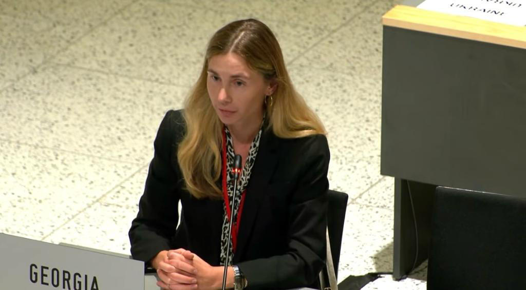 „ნაციონალური მოძრაობა“ - თინა ბოკუჩავამ შავი ზღვის უსაფრთხოების შესახებ ნატო-ს საპარლამენტო ასამბლეის რეზოლუციაში შესწორება დააყენა, რასაც ასამბლეამ მხარი ერთხმად დაუჭირა