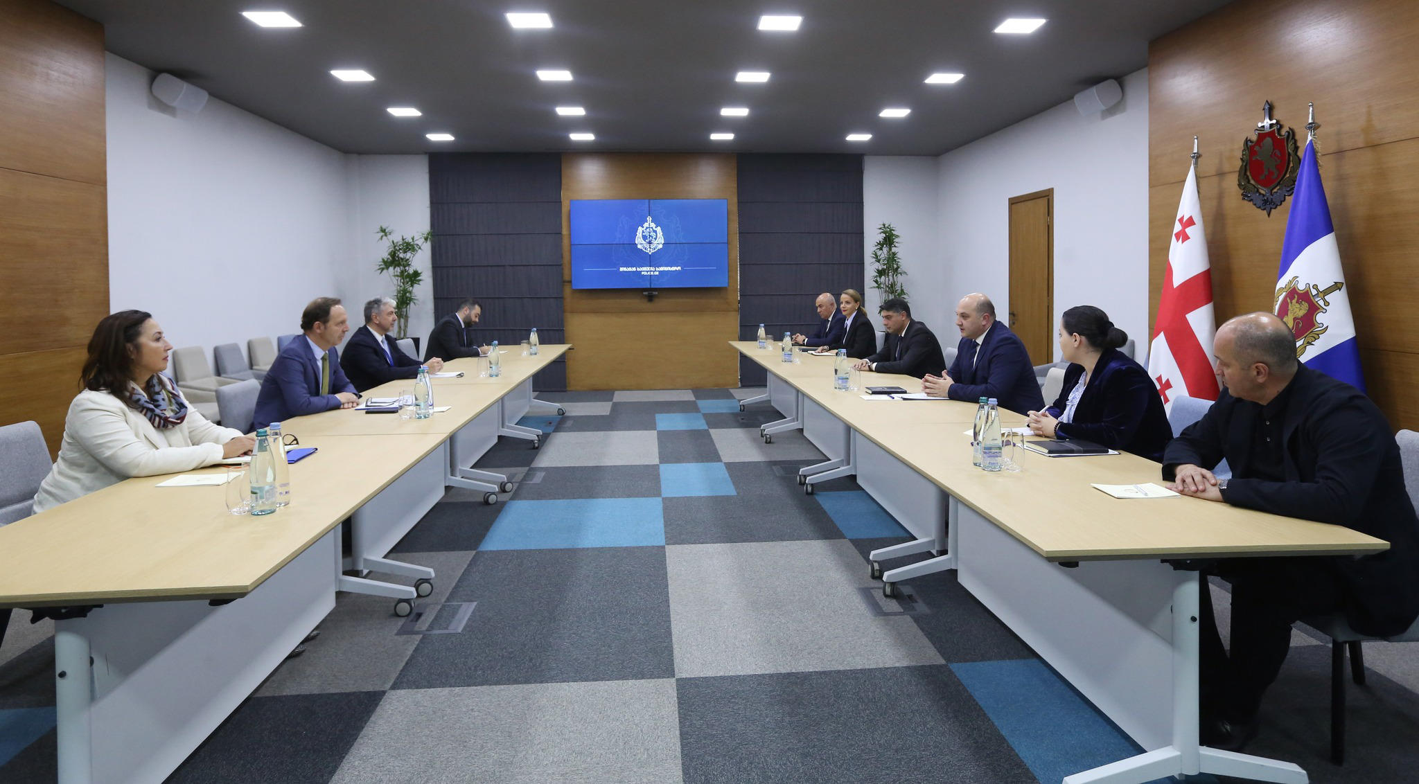 შინაგან საქმეთა მინისტრის მოადგილე, მიგრაციის საერთაშორისო ორგანიზაციის რეგიონულ დირექტორს შეხვდა