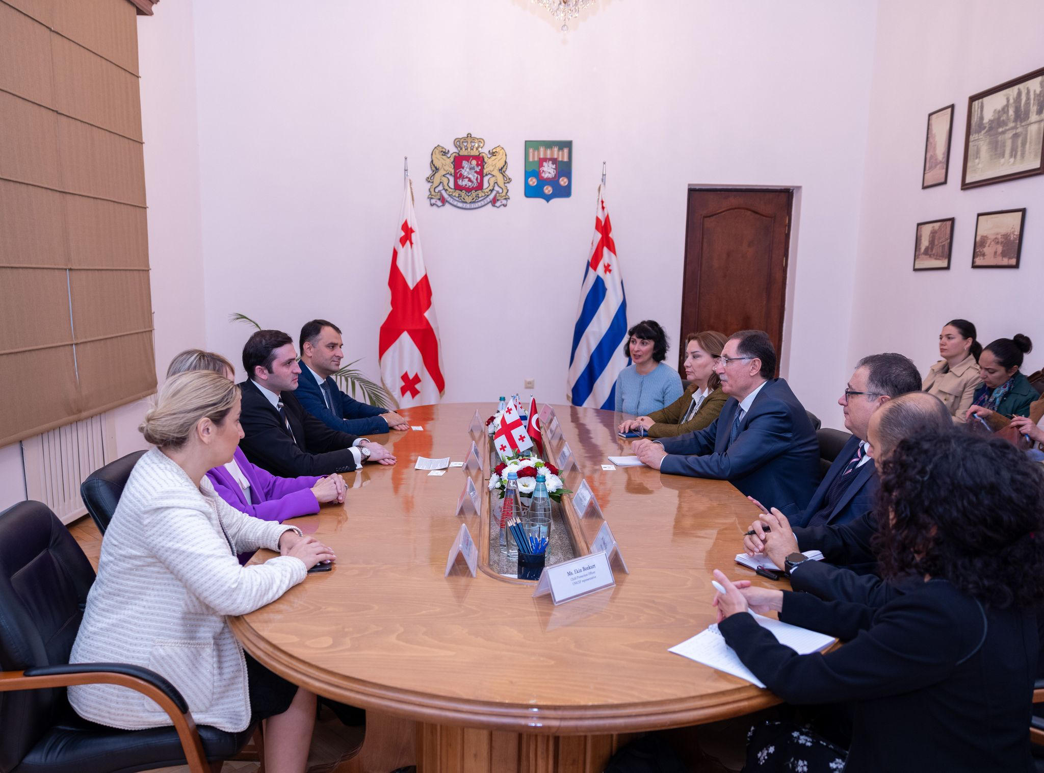 თორნიკე რიჟვაძე თურქეთის მთავარ ომბუდსმენს, შერეფ მალკოჩს შეხვდა