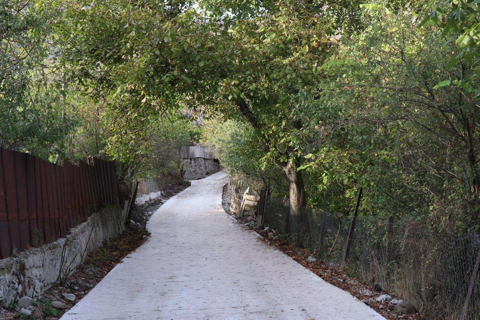 ბორჯომის მუნიციპალიტეტის სოფლებში შიდა საუბნო გზის რეაბილიტაცია დასრულდა