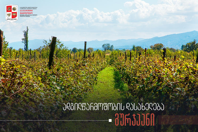 ადგილწარმოშობის დასახელება „გურჯაანი“ „საქპატენტშია“ რეგისტრირებული
