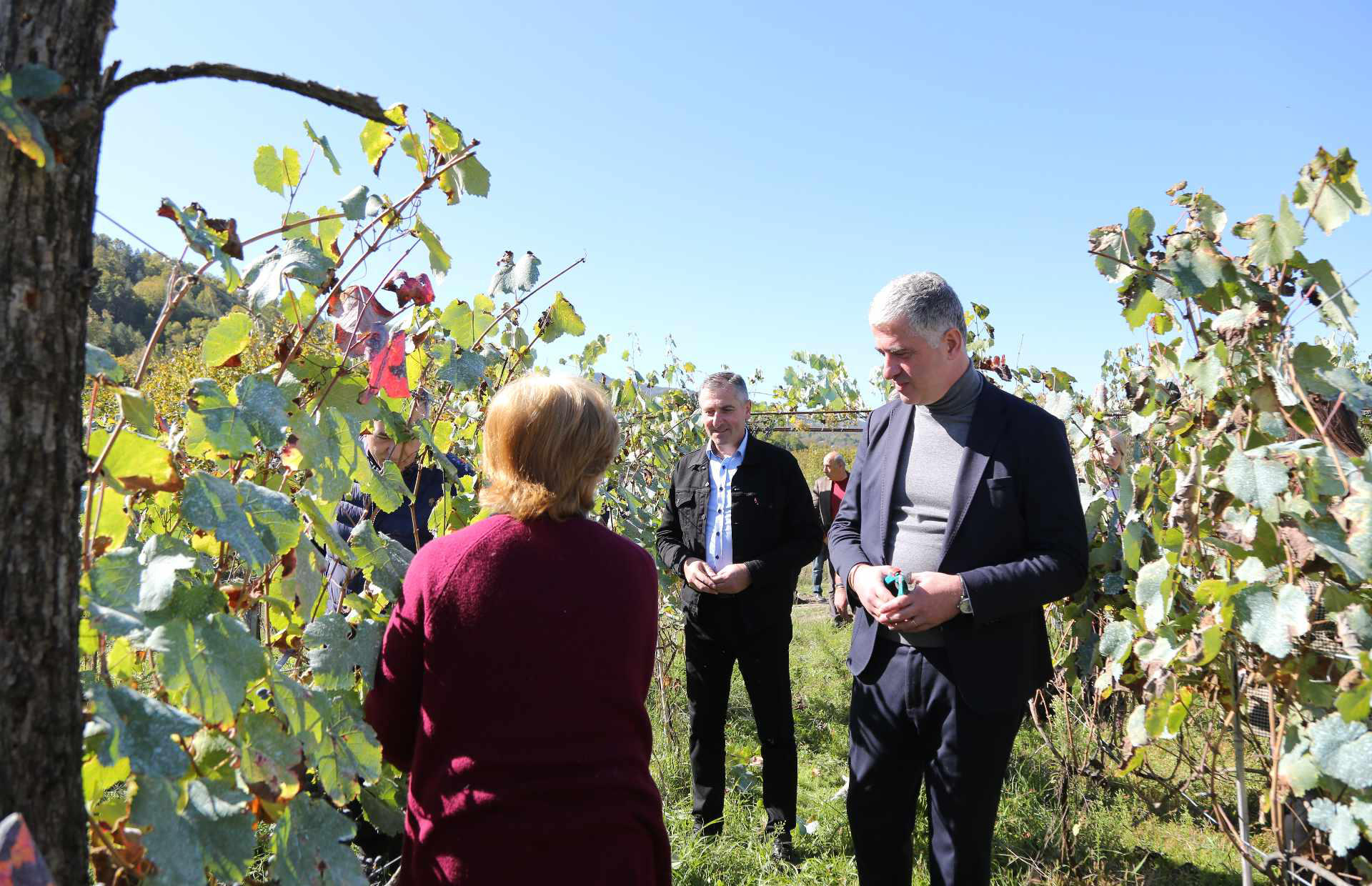ოთარ შამუგიამ სოფელ საკეციაში,  დავით ციმაკურიძის ოჯახურ რთველში მიიღო მონაწილეობა
