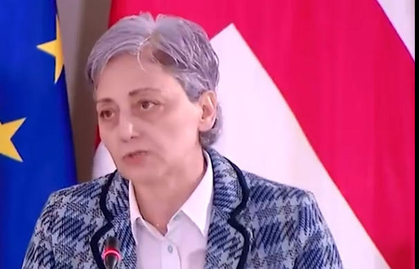 მაია კოპალეიშვილი - დასკვნა არის ტენდენციური, საკონსტიტუციო სასამართლო მთლიანად შევიდა პოლიტიკურ პროცესში - დასაბუთებაში ძირითად არგუმენტებს აკეთებს ხედვაზე, იმედი აქვს, რომ შესაძლოა პარლამენტმა არ მიიღოს საბოლოო გადაწყვეტილება