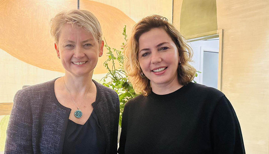 ანა დოლიძემ ლონდონში პოლიტიკურ ლიდერებთან შეხვედრაზე საქართველოსთვის კანდიდატის სტატუსის მნიშვნელობაზე ისაუბრა