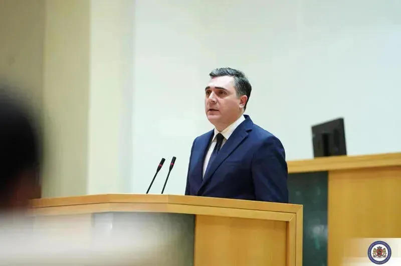 „ევროოპტიმისტები“ საგარეო საქმეთა მინისტრს, ინტერპელაციის წესით, პარლამენტში იბარებს