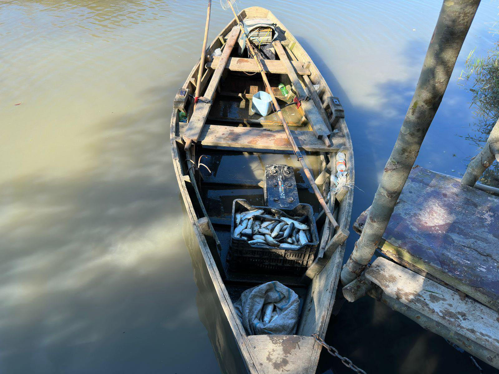 გარემოსდაცვითი ზედამხედველობის დეპარტამენტის თანამშრომლებმა სამეგრელოში უკანონო თევზჭერის ფაქტი გამოავლინეს