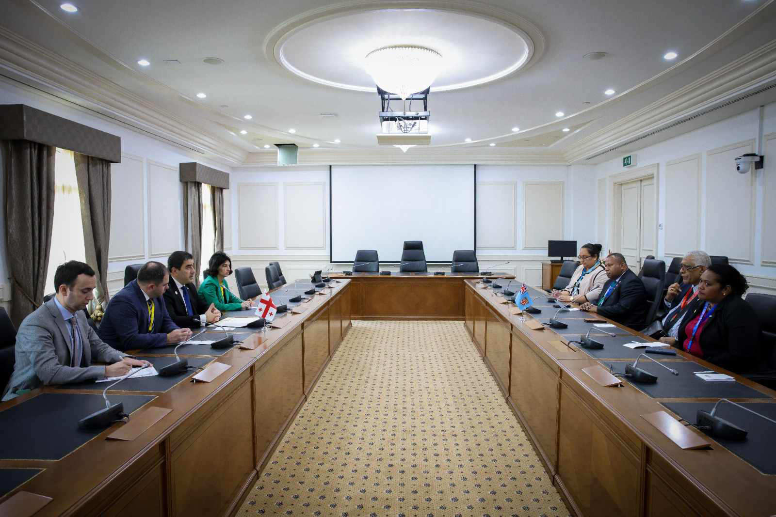 შალვა პაპუაშვილი ფიჯის პარლამენტის თავმჯდომარეს შეხვდა