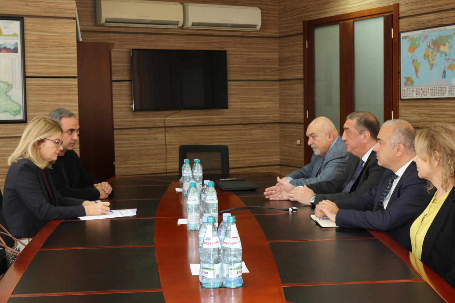 „საქართველოს განვითარების ფონდს“ საერთაშორისო კომპანია „Rothschild“-ის მმართველი დირექტორი ეწვია