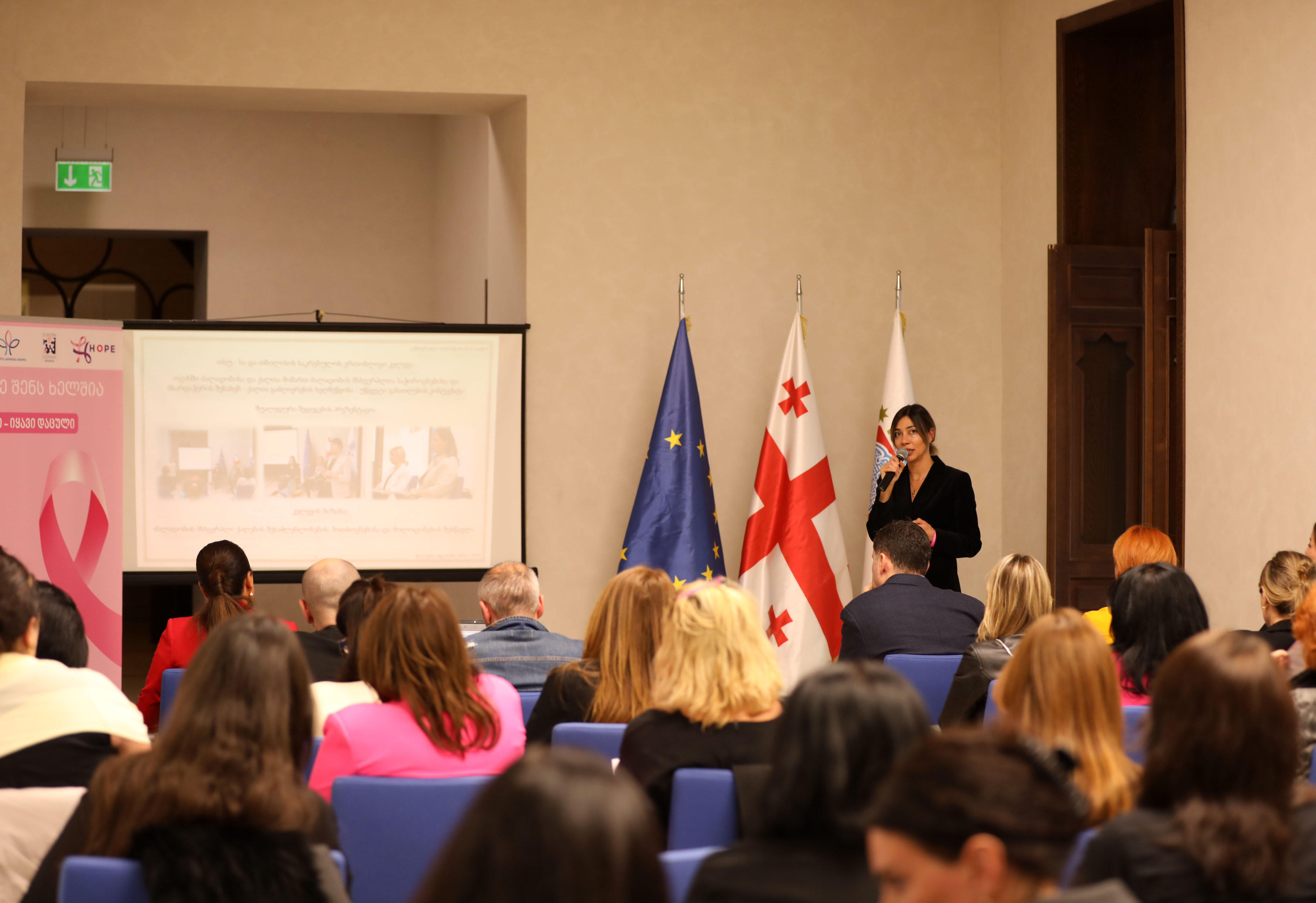 თინათინ ნიბლოშვილმა გაწეული საქმიანობის შესახებ ანგარიში წარადგინა