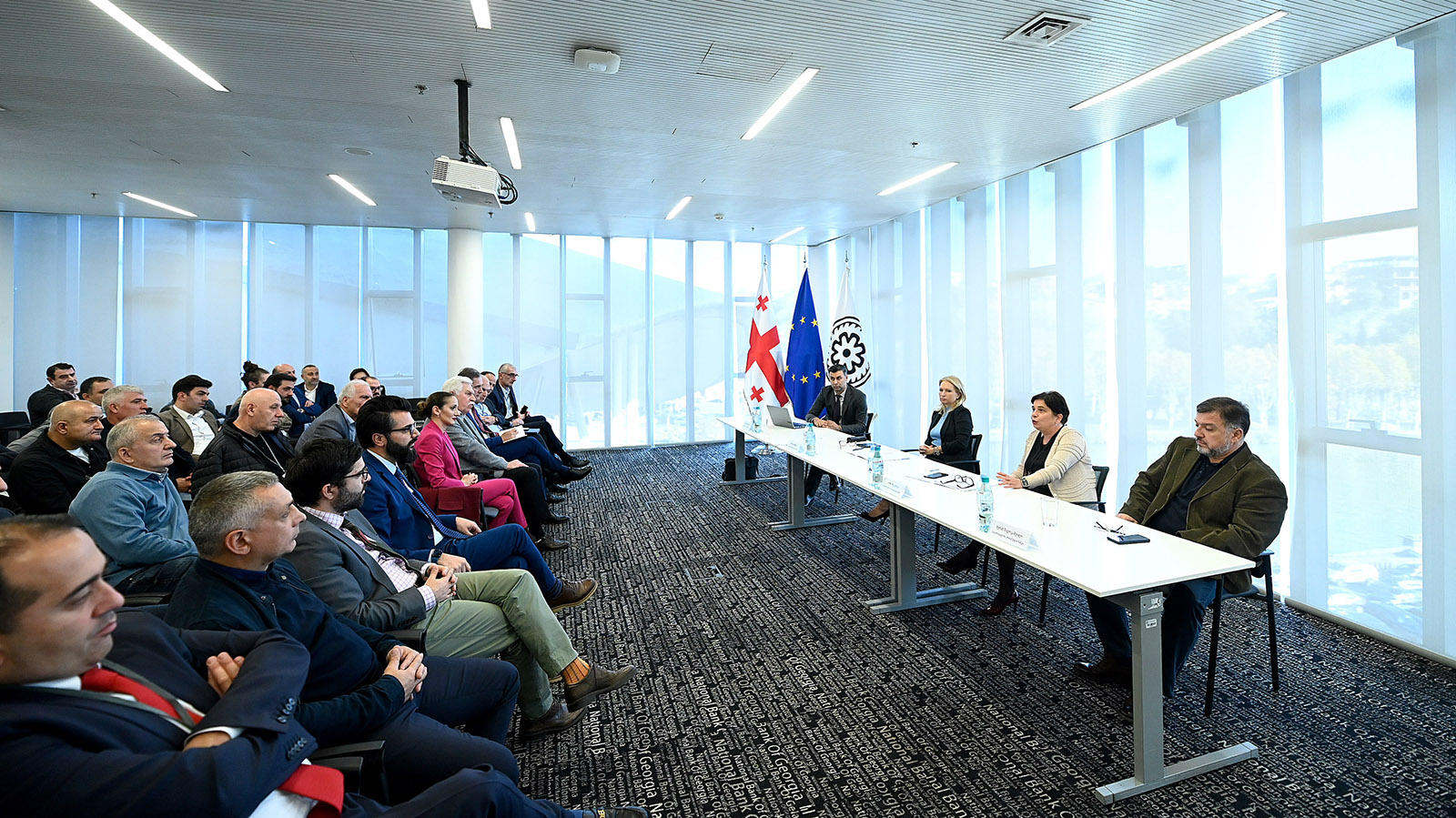 ნათია თურნავა მიკროსაფინანსო ორგანიზაციების წარმომადგენლებს შეხვდა