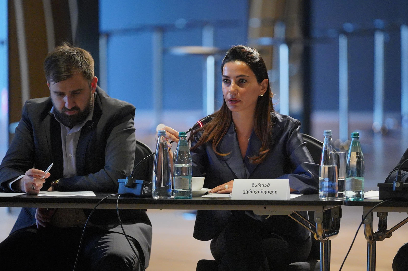 მარიამ ქვრივიშვილი სავაჭრო-სამრეწველო პალატის ავიაციის კომიტეტის წევრებს შეხვდა