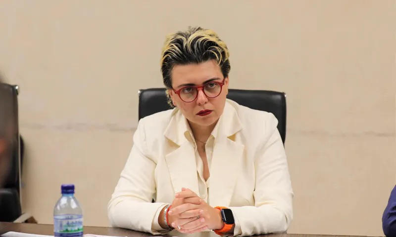 პარტია „ანა დოლიძე ხალხისთვის“ საკრებულოს დეპუტატმა დღეს წლიური ანგარიშის პრეზენტაცია გამართა