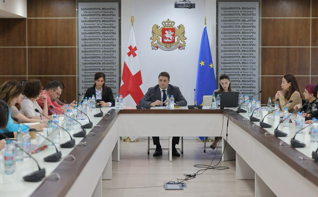 ადამიანის უფლებების დაცვის საკითხებში პრემიერ-მინისტრის მრჩეველმა სამოქალაქო სექტორის წარმომადგენლებს ადამიანის უფლებათა დაცვის ეროვნული სამოქმედო გეგმის (2024-2026 წწ.) სამუშაო ვერსია წარუდგინა