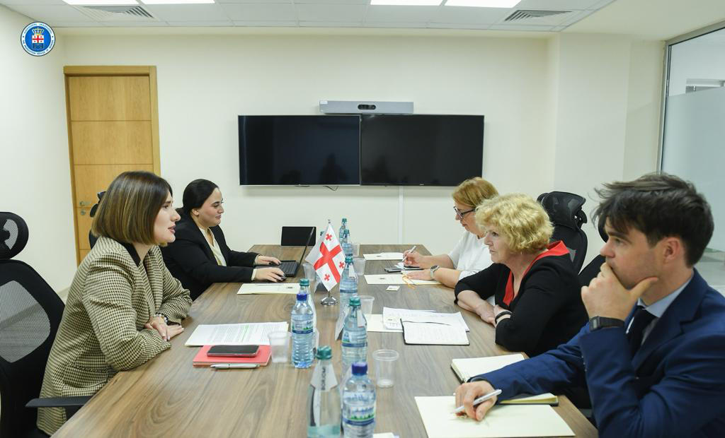 საქართველოს გენერალურ პროკურატურაში, ადამიანის უფლებათა დამცველების მდგომარეობის შესახებ, გაეროს სპეციალურ მომხსენებელთან შეხვედრა გაიმართა